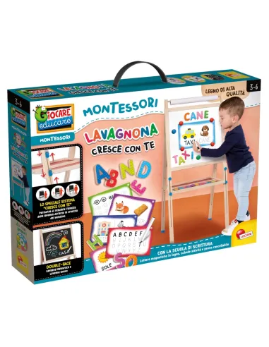 MONTESSORI LAVAGNONA CRESCE CON TE (102600)